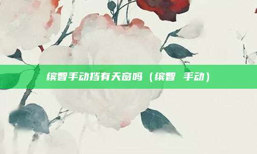 缤智手动挡有天窗吗（缤智 手动）