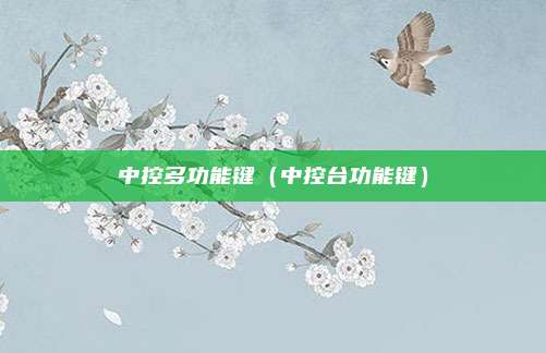 中控多功能键（中控台功能键）