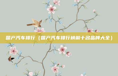 国产汽车排行（国产汽车排行榜前十名品牌大全）