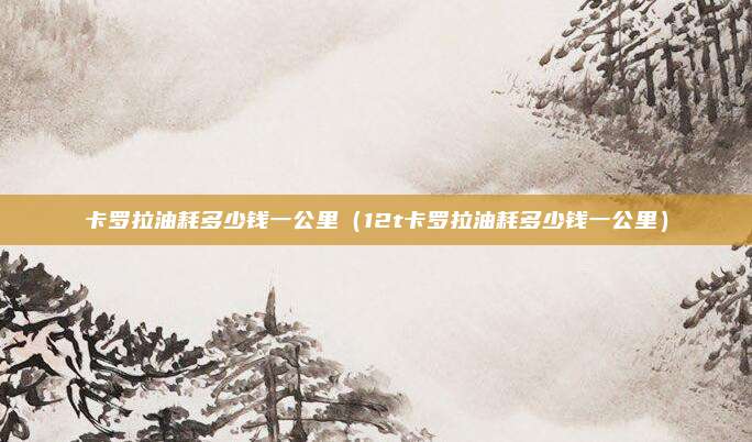 卡罗拉油耗多少钱一公里(12t卡罗拉油耗多少钱一公里)