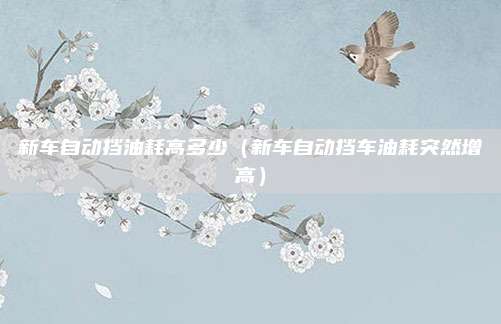 新车自动挡油耗高多少(新车自动挡车油耗突然增高)