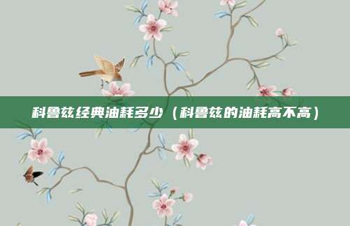 科鲁兹经典油耗多少(科鲁兹的油耗高不高)