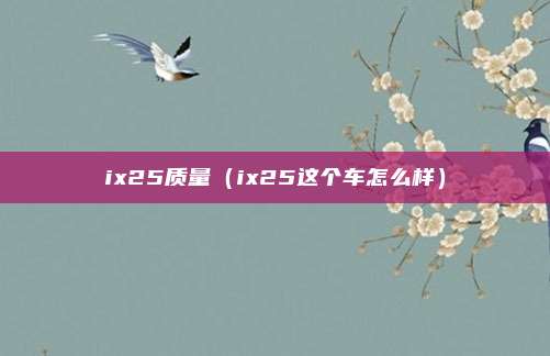 ix25质量（ix25这个车怎么样）