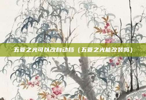 五菱之光可以改自动挡(五菱之光能改装吗)