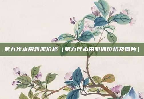 第九代本田雅阁价格(第九代本田雅阁价格及图片)