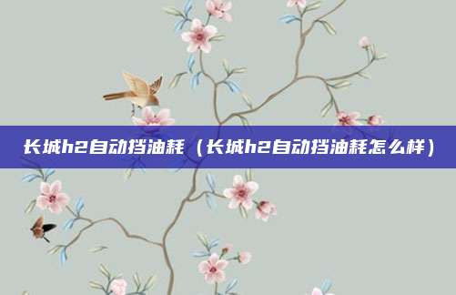 长城h2自动挡油耗(长城h2自动挡油耗怎么样)