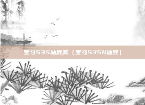 宝马535油耗高(宝马535li油耗)