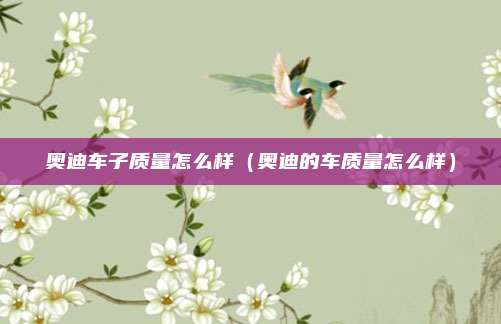 奥迪车子质量怎么样（奥迪的车质量怎么样）