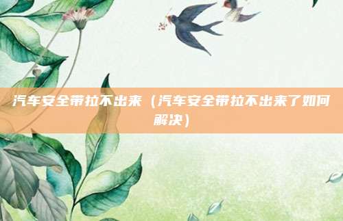 汽车安全带拉不出来(汽车安全带拉不出来了如何解决)