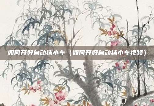 如何开好自动挡小车(如何开好自动挡小车视频)