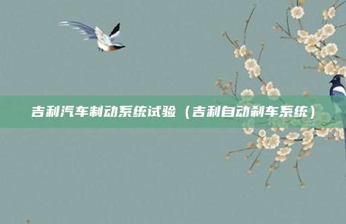 吉利汽车制动系统试验（吉利自动刹车系统）