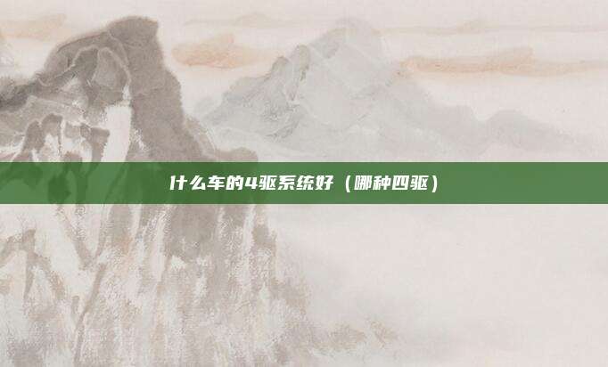 什么车的4驱系统好（哪种四驱）