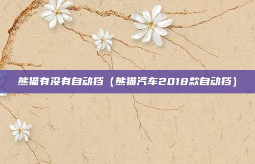 熊猫有没有自动挡（熊猫汽车2018款自动挡）