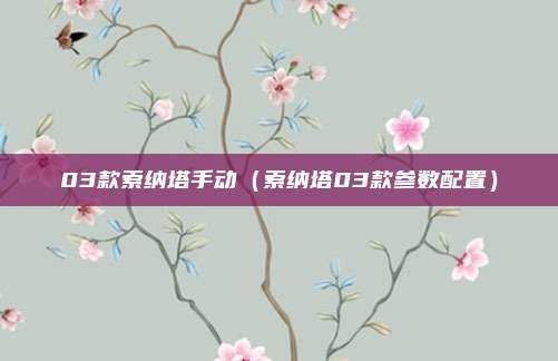 03款索纳塔手动（索纳塔03款参数配置）
