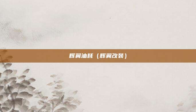 辉翼油耗(辉翼改装)
