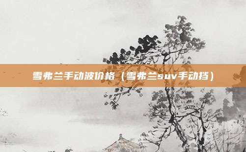 雪弗兰手动波价格（雪弗兰suv手动挡）