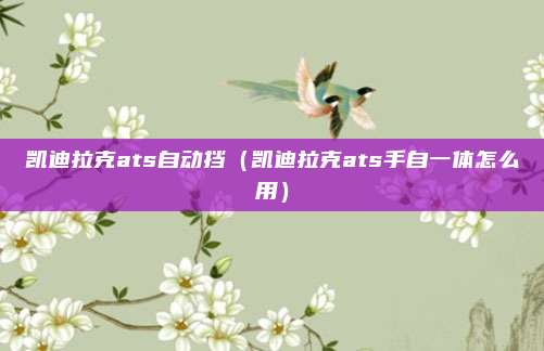凯迪拉克ats自动挡(凯迪拉克ats手自一体怎么用)