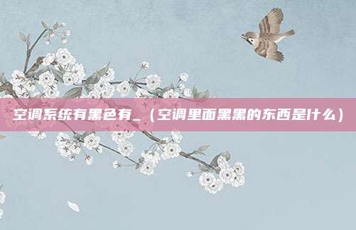 空调系统有黑色有_（空调里面黑黑的东西是什么）