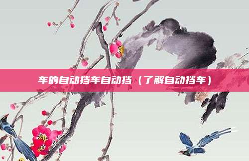车的自动挡车自动挡(了解自动挡车)