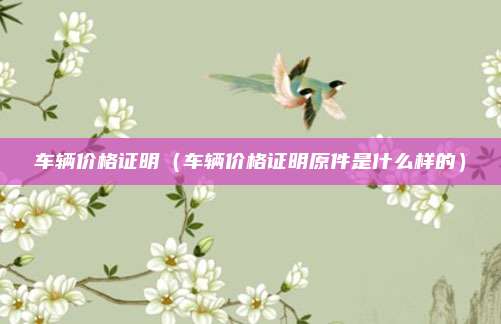 车辆价格证明(车辆价格证明原件是什么样的)