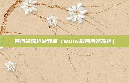 昌河福瑞达油耗高(2016款昌河福瑞达)