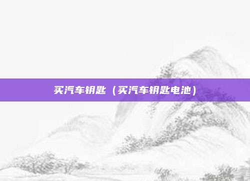 买汽车钥匙(买汽车钥匙电池)