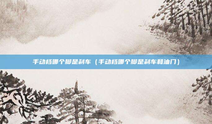 手动档哪个脚是刹车(手动档哪个脚是刹车和油门)