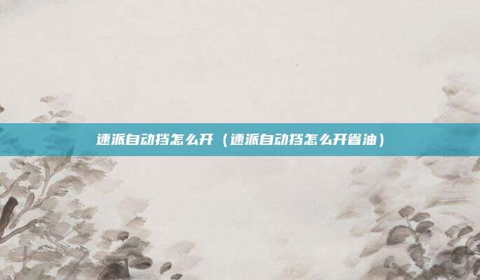 速派自动挡怎么开（速派自动挡怎么开省油）