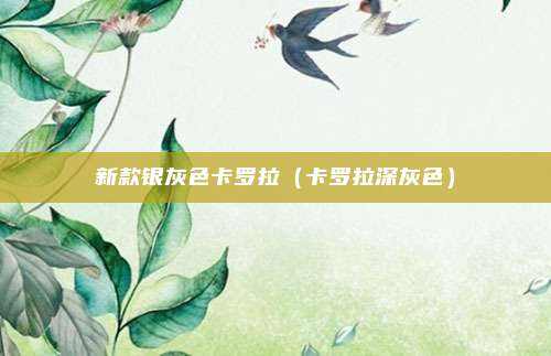 新款银灰色卡罗拉（卡罗拉深灰色）