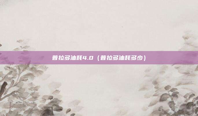 普拉多油耗4.0（普拉多油耗多少）