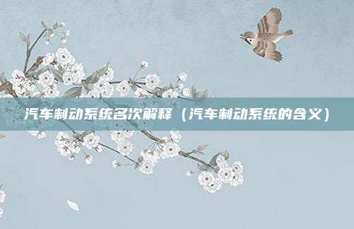 汽车制动系统名次解释(汽车制动系统的含义)