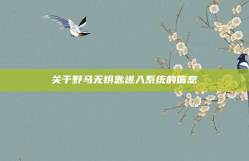 关于野马无钥匙进入系统的信息