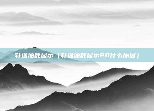 轩逸油耗显示(轩逸油耗显示20什么原因)