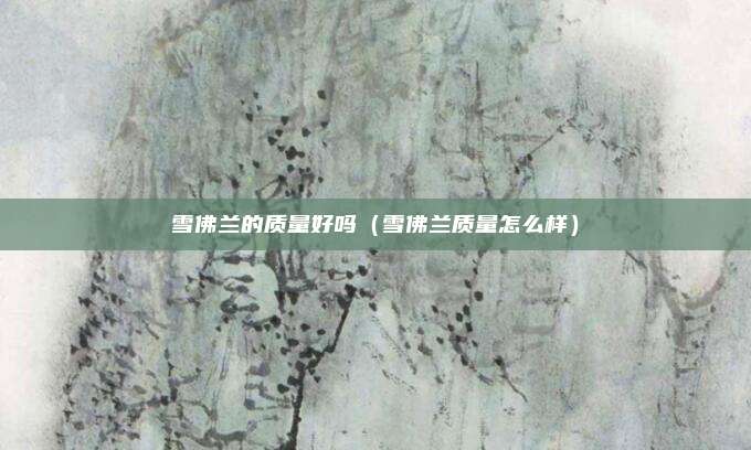 雪佛兰的质量好吗(雪佛兰质量怎么样)
