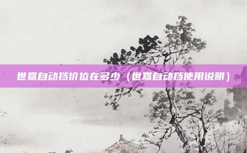 世嘉自动挡价位在多少(世嘉自动挡使用说明)