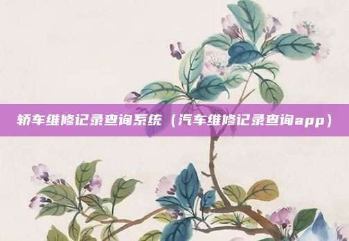 轿车维修记录查询系统(汽车维修记录查询app)
