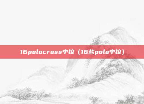 16polocross中控（16款polo中控）