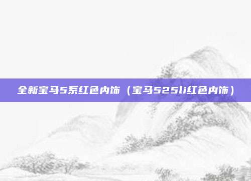 全新宝马5系红色内饰（宝马525li红色内饰）