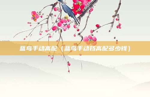 蓝鸟手动高配（蓝鸟手动挡高配多少钱）