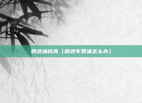 颐达油耗高(颐达车费油怎么办)