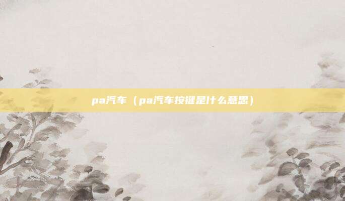 pa汽车（pa汽车按键是什么意思）