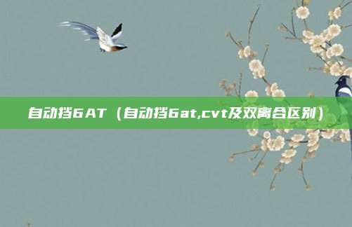 自动挡6AT（自动挡6at,cvt及双离合区别）