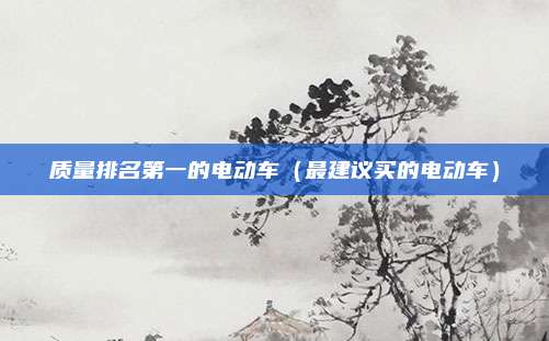 质量排名第一的电动车（最建议买的电动车）