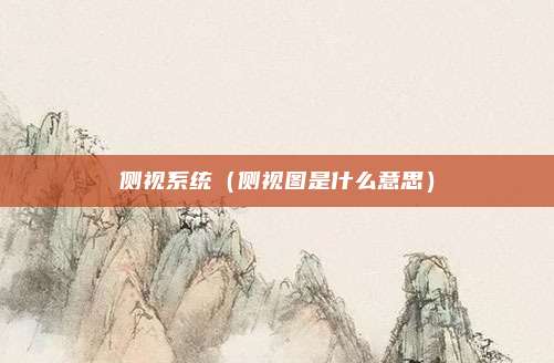 侧视系统(侧视图是什么意思)