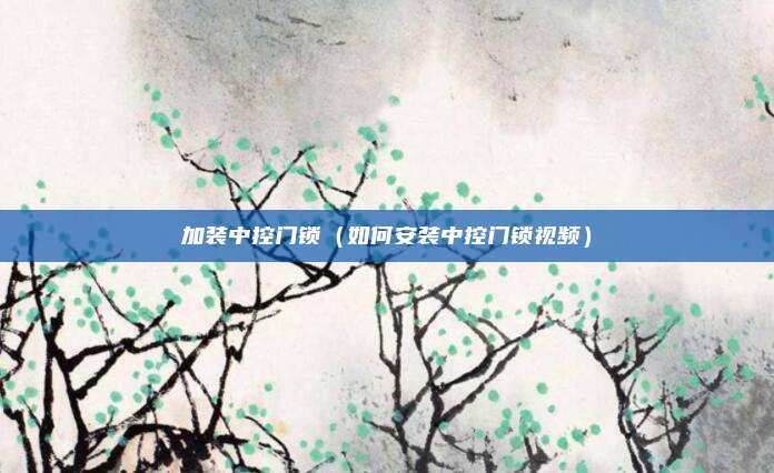 加装中控门锁(如何安装中控门锁视频)