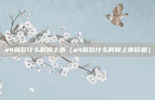a4新款什么时候上市(a4新款什么时候上市价格)