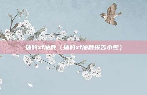 捷豹xf油耗(捷豹xf油耗报告小熊)