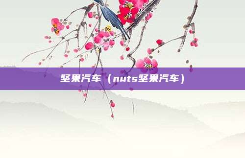 坚果汽车(nuts坚果汽车)