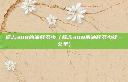 标志308的油耗多少(标志308的油耗多少钱一公里)