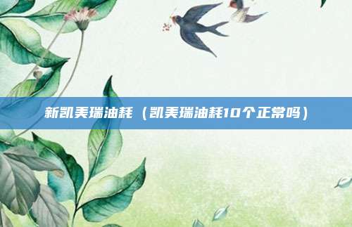 新凯美瑞油耗(凯美瑞油耗10个正常吗)